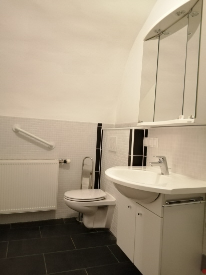 Blick in das Badezimmer mit Toilette, Waschbecken, Spiegelschrank, etc.