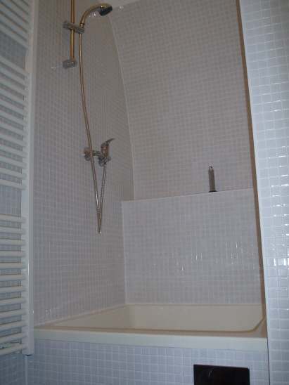 Bad Blick in die Dusche